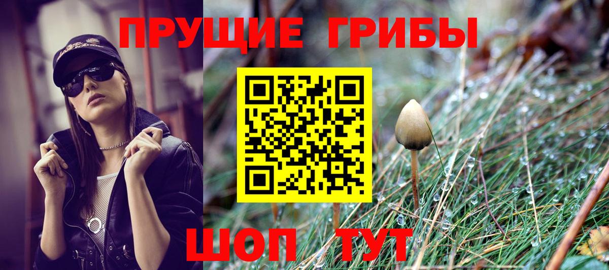 Галлюциногенные грибы GOLDEN TEACHER Тимашёвск